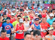 问鼎-马拉松赛场再起风云：塞北风暴队险胜燕山烈马队，赛场气氛火爆赛场纪律更严谨(王者荣耀马拉松)